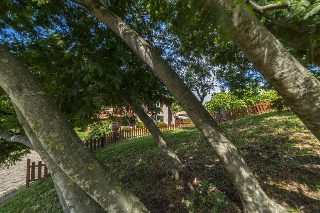 B&B Acque Lucenti Sacrofano ภายนอก รูปภาพ