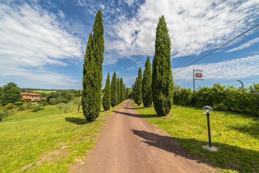 B&B Acque Lucenti Sacrofano ภายนอก รูปภาพ