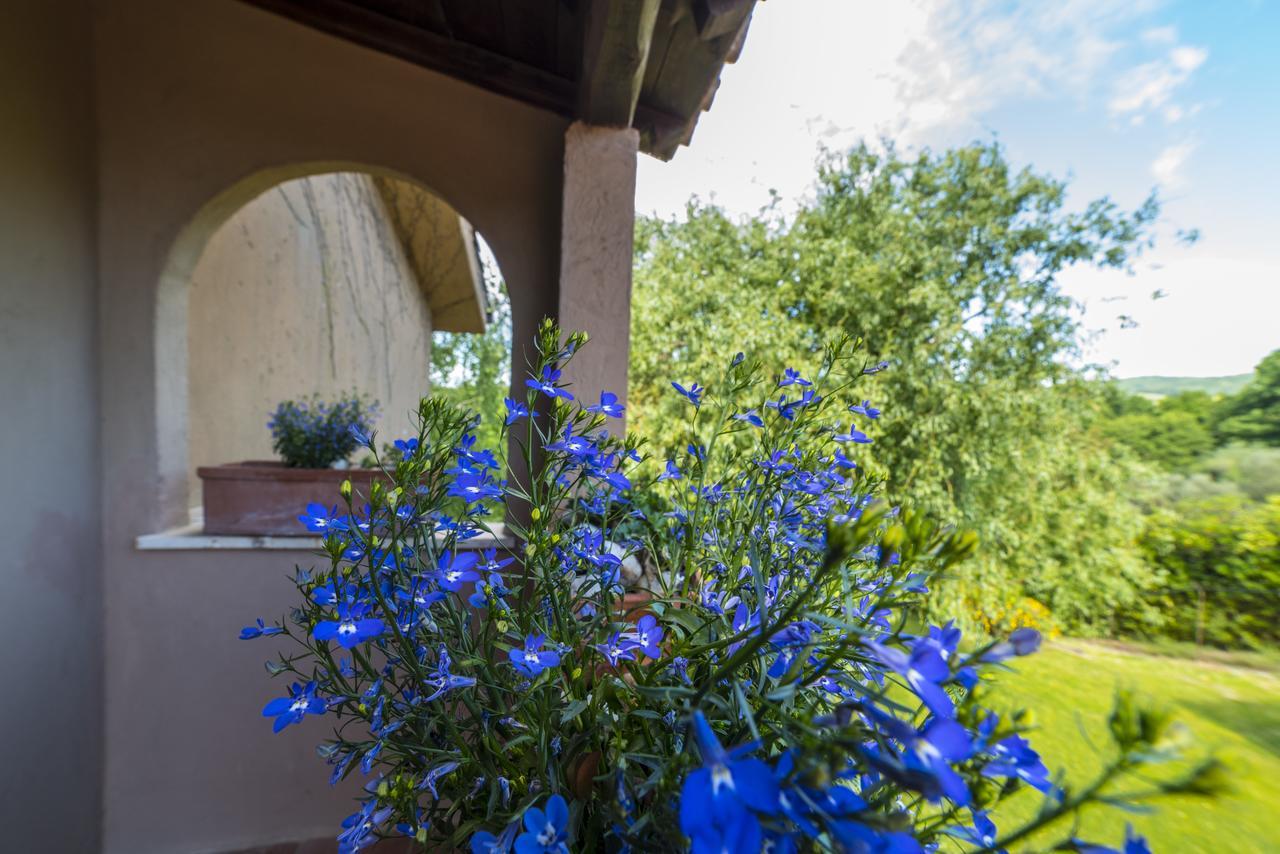 B&B Acque Lucenti Sacrofano ภายนอก รูปภาพ